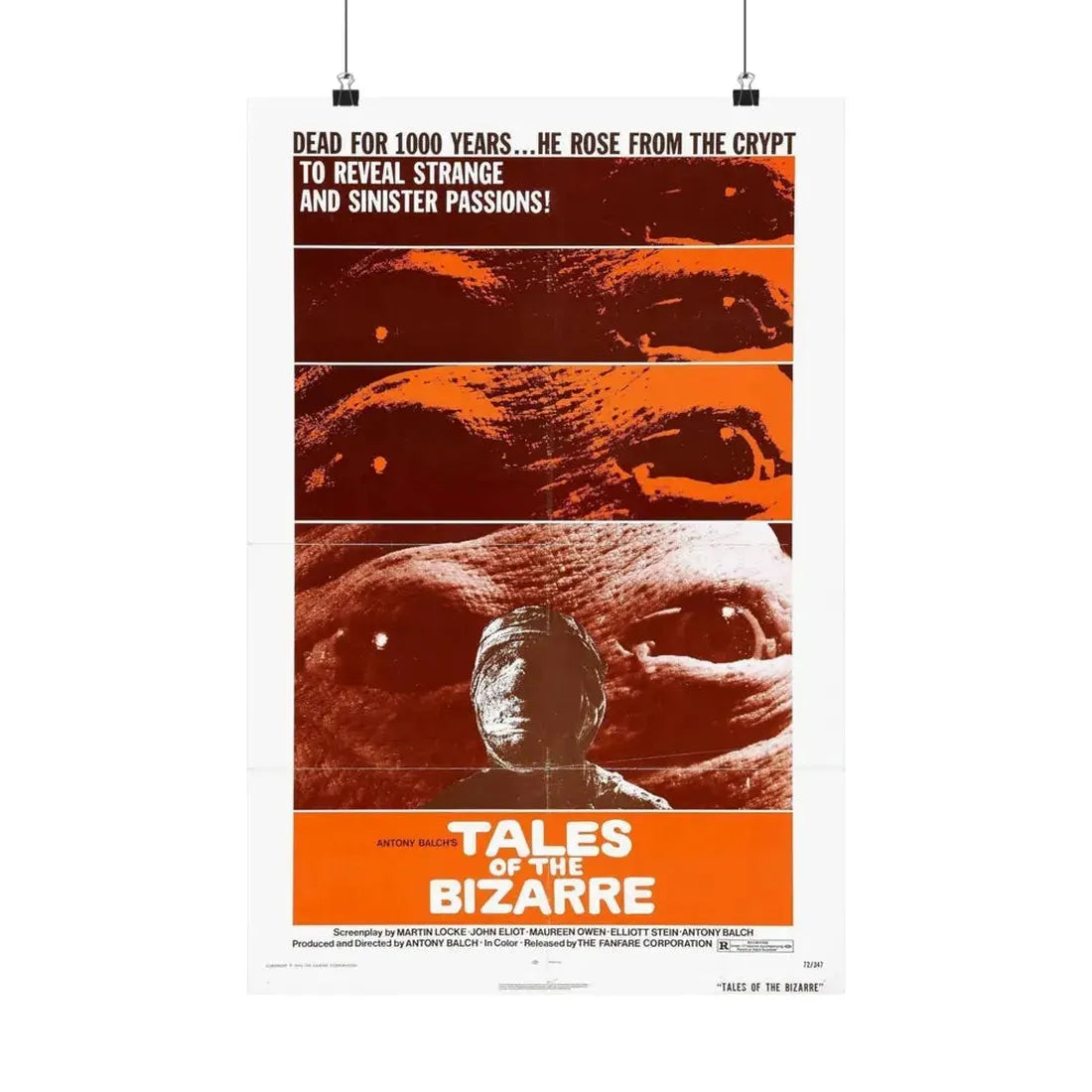 TALES FROM THE BIZARRE 1970 - Paper Movie Poster 16″ x 24″ Matte - The Sticker Space