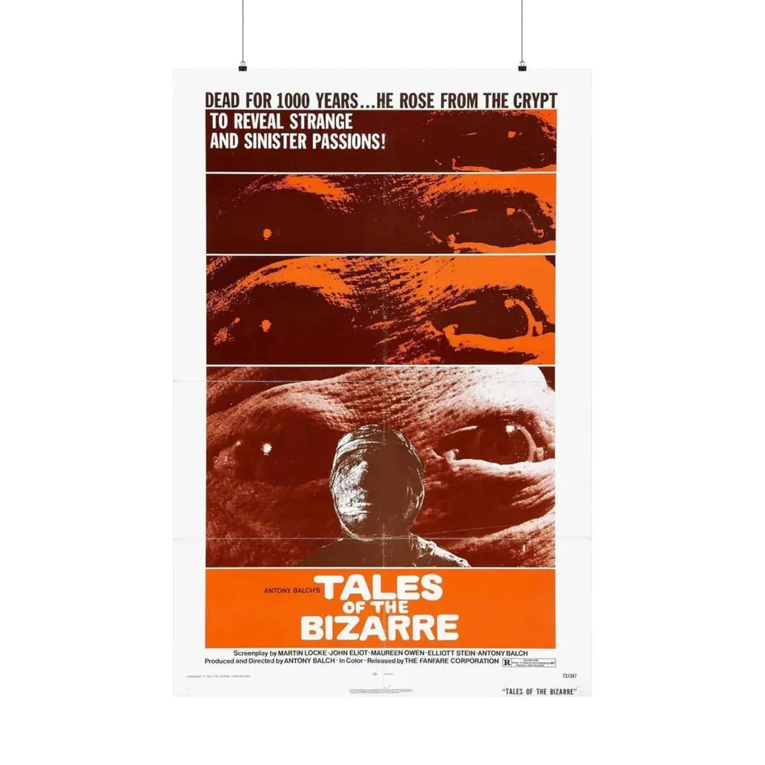 TALES FROM THE BIZARRE 1970 - Paper Movie Poster 36" x 54" Matte - The Sticker Space