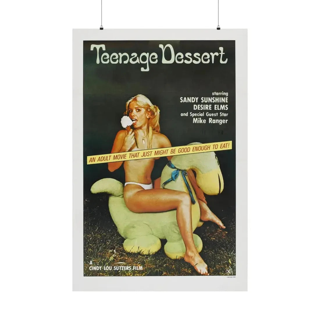 TEENAGE DESSERT 1976 - Paper Movie Poster 36" x 54" Matte - The Sticker Space