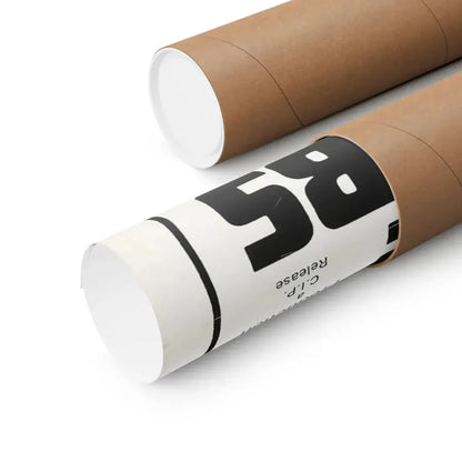 TEENAGE GANG DEBS 1966 - Paper Movie Poster - The Sticker Space