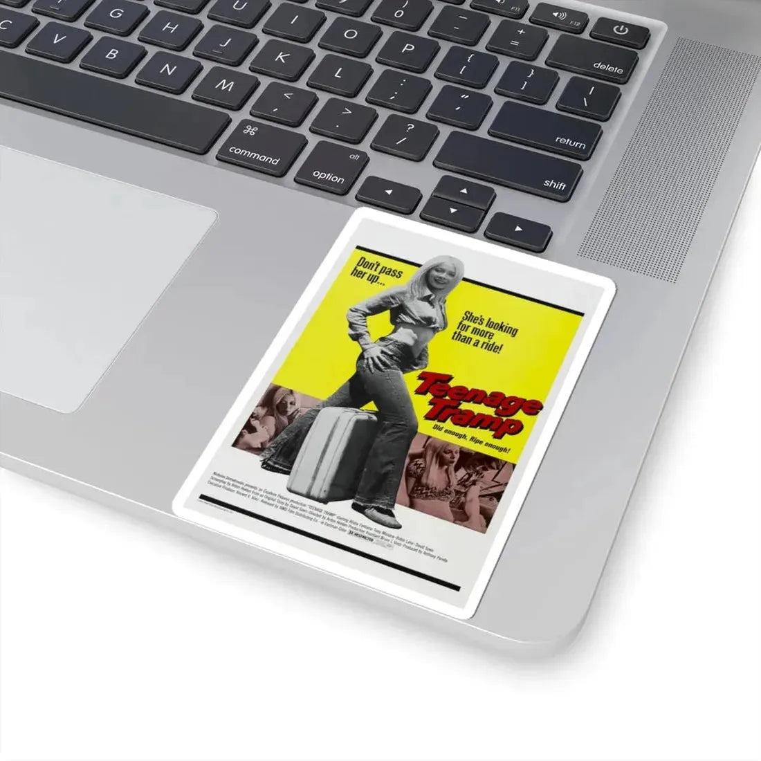 TEENAGE TRAMP 1973 Movie Poster - STICKER Vinyl Kiss-Cut Decal - The Sticker Space