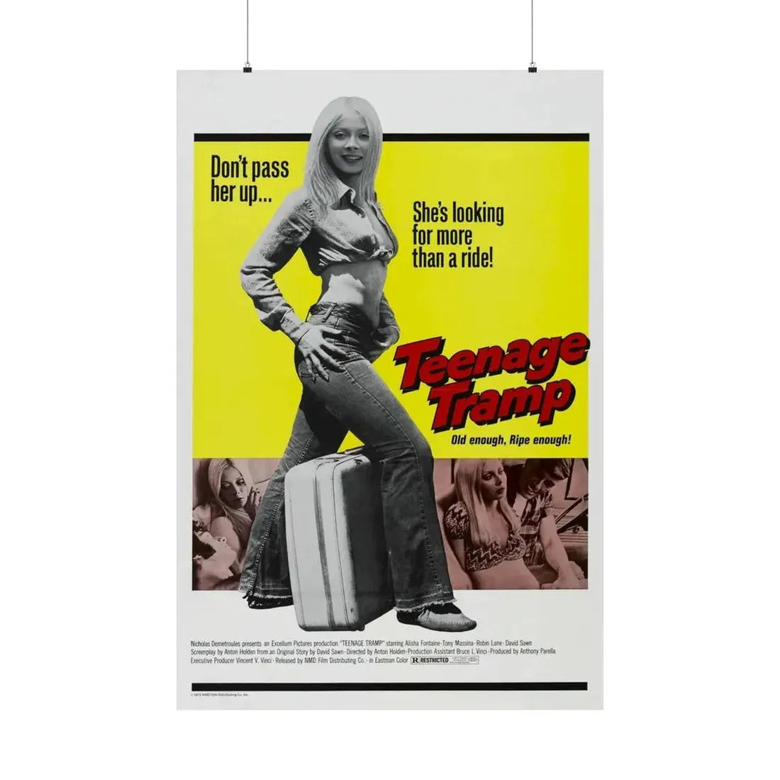TEENAGE TRAMP 1973 - Paper Movie Poster 36" x 54" Matte - The Sticker Space