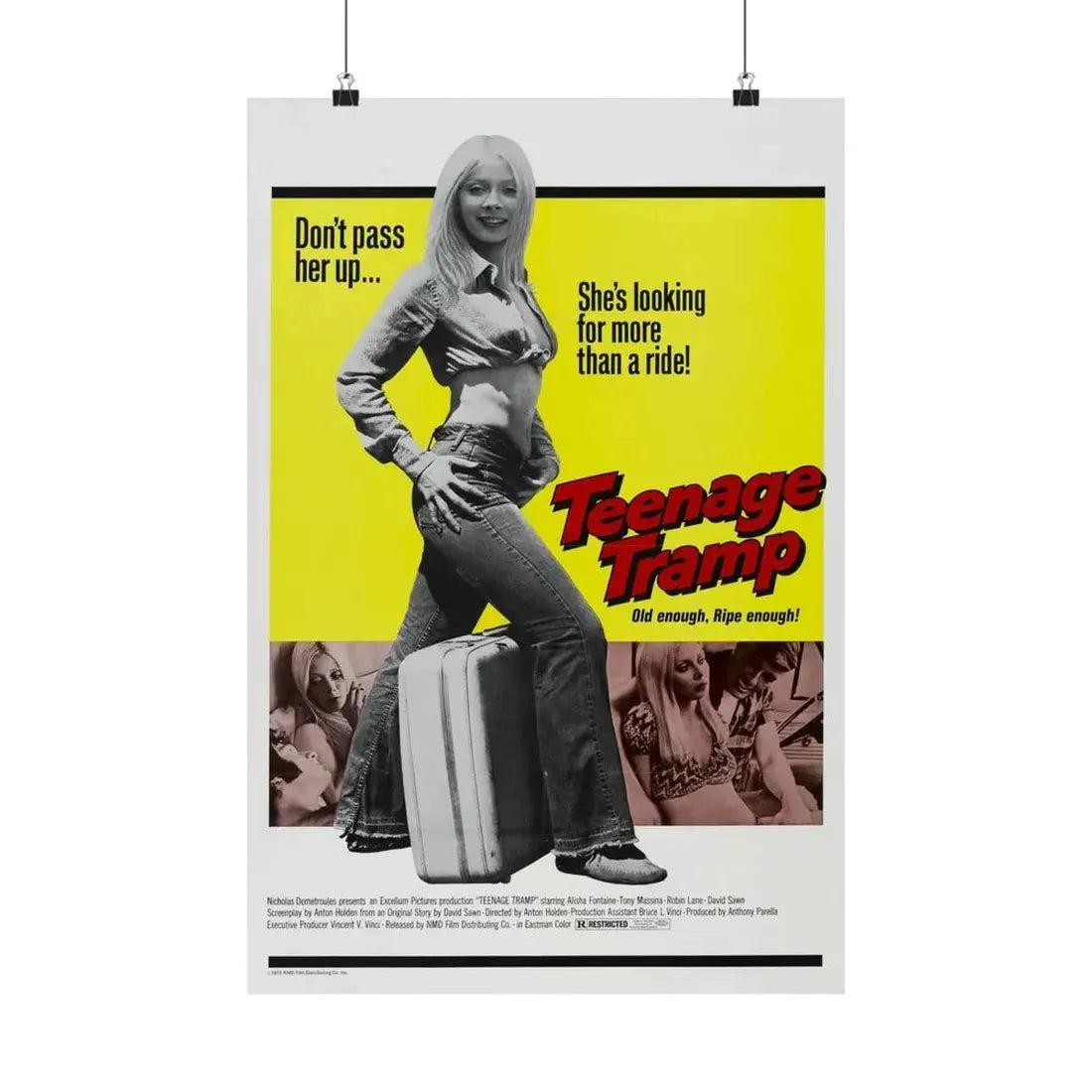 TEENAGE TRAMP 1973 - Paper Movie Poster - The Sticker Space