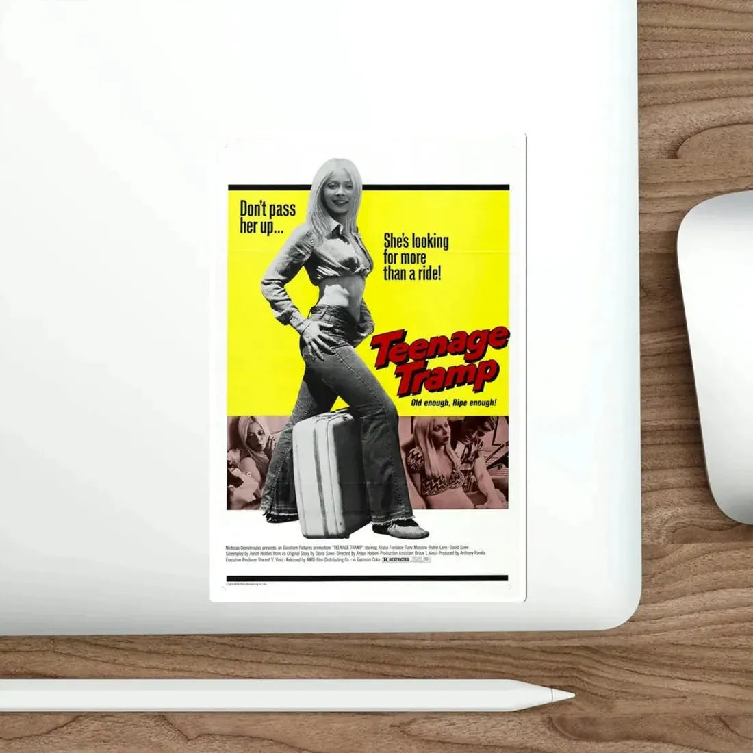 Teenage Tramp 1975 Movie Poster STICKER Vinyl Die-Cut Decal - The Sticker Space