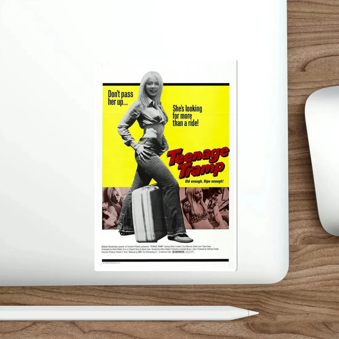 Teenage Tramp 1975 Movie Poster STICKER Vinyl Die-Cut Decal - The Sticker Space