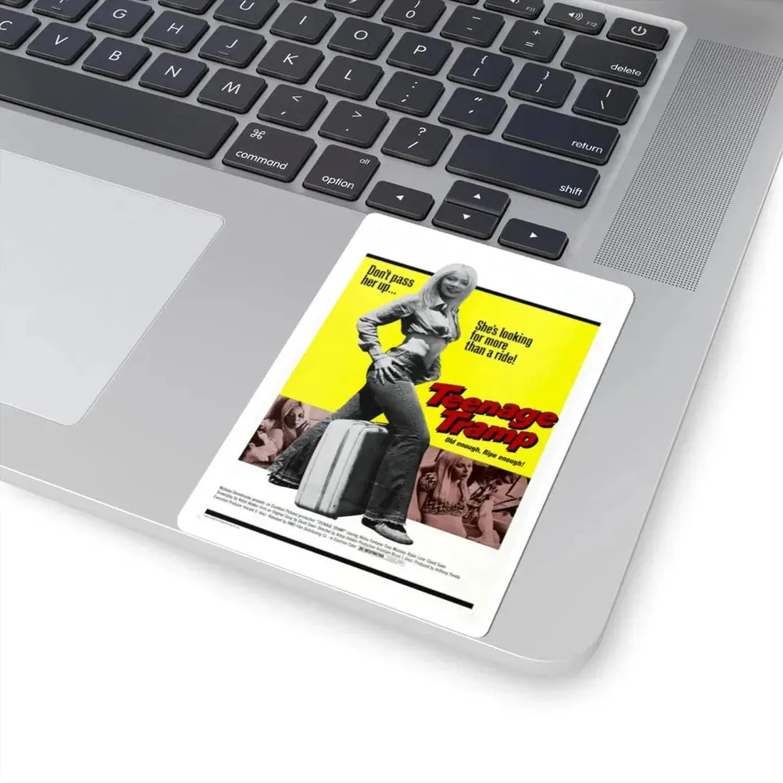 Teenage Tramp 1975 Movie Poster - STICKER Vinyl Kiss-Cut Decal - The Sticker Space