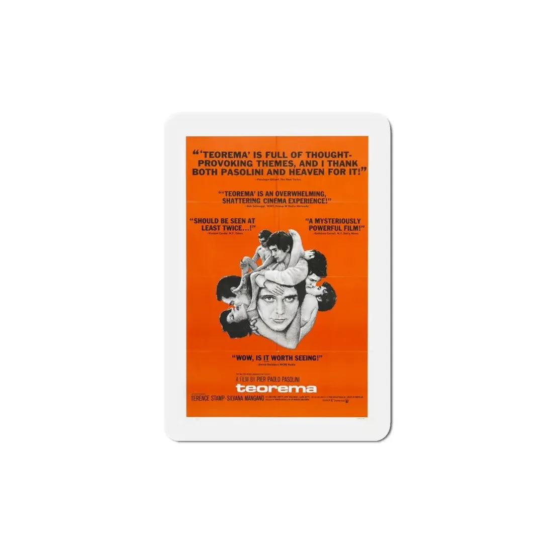 Teorema 1969 Movie Poster Refrigerator Magnet 5 Inch - The Sticker Space