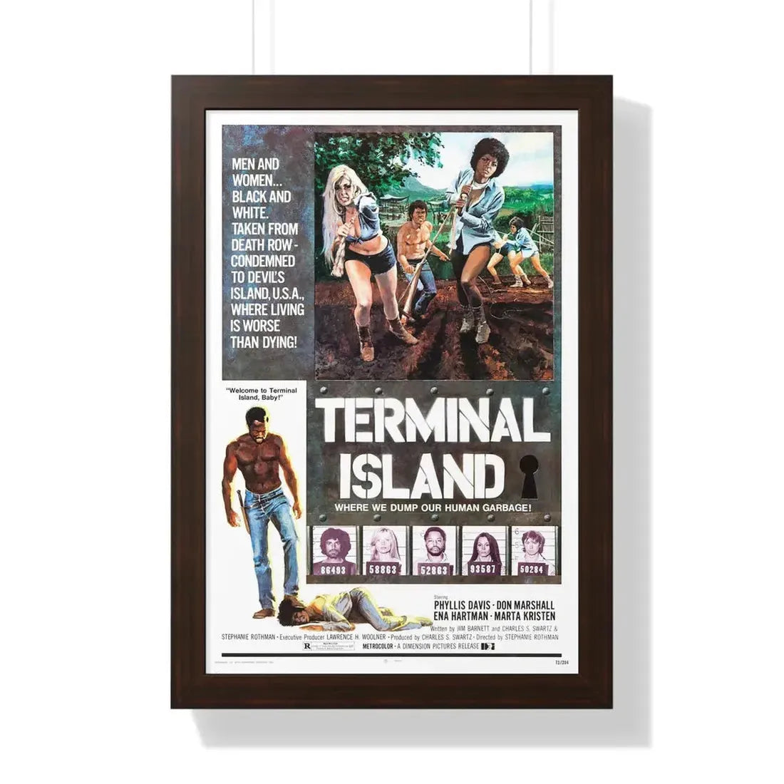 TERMINAL ISLAND 1973 - Framed Movie Poster 16″ x 24″ Walnut - The Sticker Space