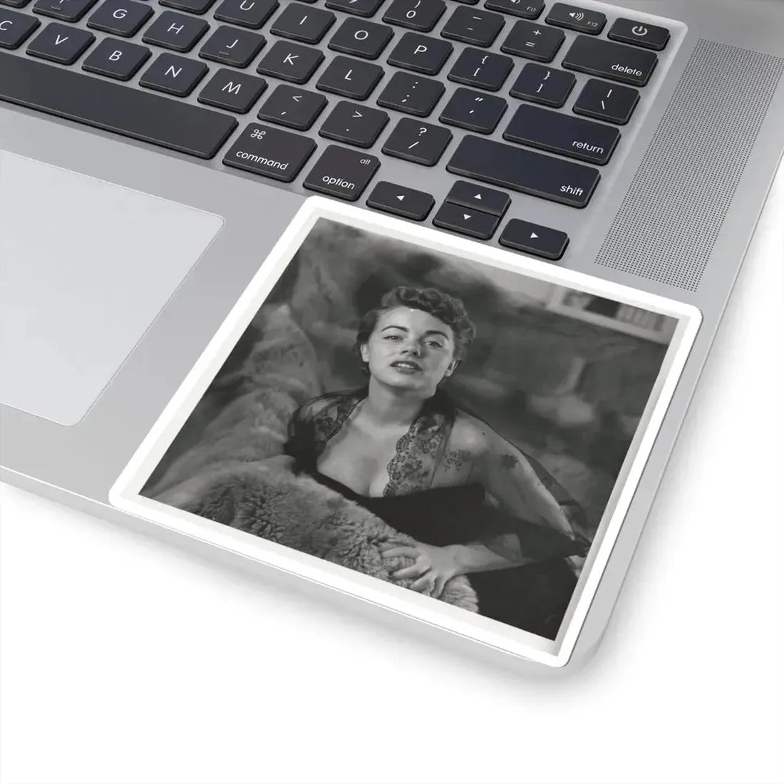 Terry Moore #104 (Vintage Female Icon) STICKER Vinyl Kiss-Cut Decal - The Sticker Space