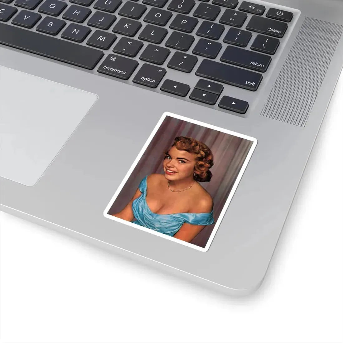 Terry Moore #176 (Vintage Female Icon) STICKER Vinyl Kiss-Cut Decal - The Sticker Space