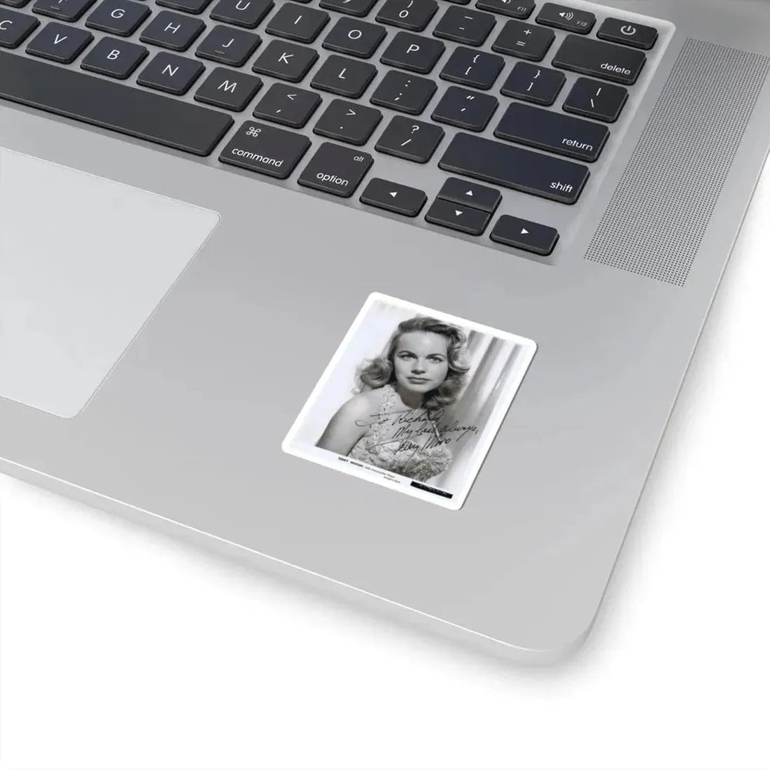 Terry Moore #187 (Vintage Female Icon) STICKER Vinyl Kiss-Cut Decal - The Sticker Space