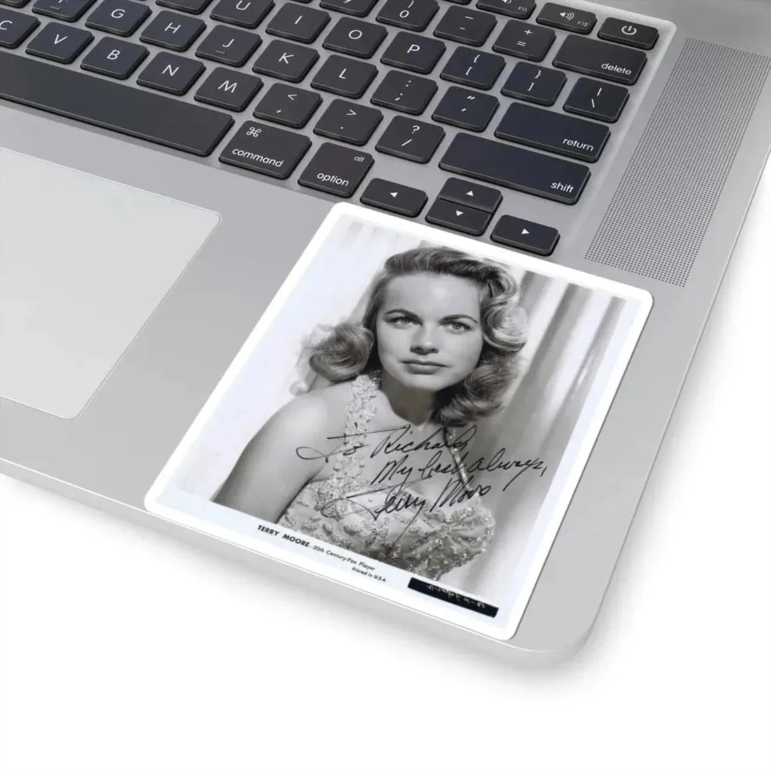 Terry Moore #187 (Vintage Female Icon) STICKER Vinyl Kiss-Cut Decal - The Sticker Space