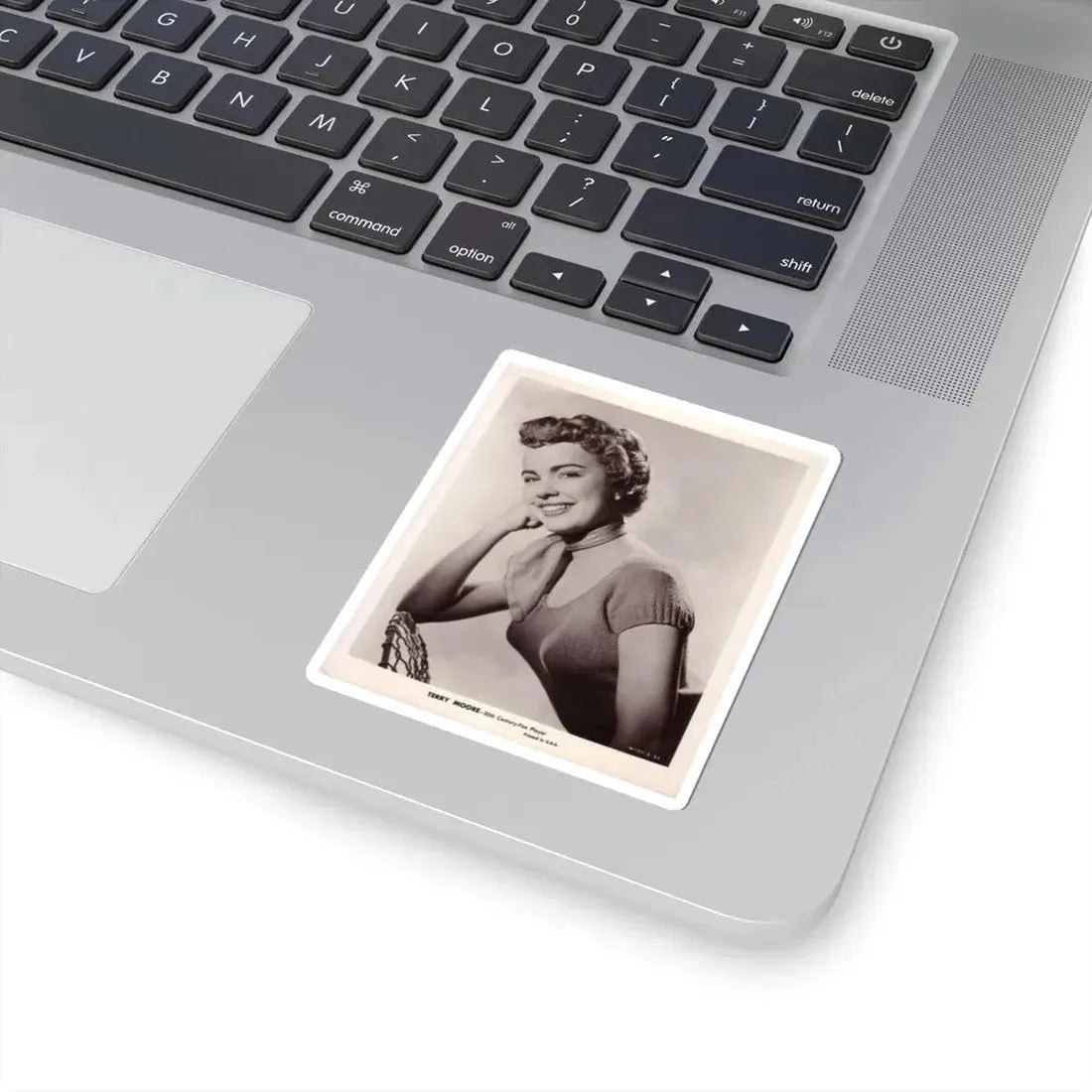 Terry Moore #189 (Vintage Female Icon) STICKER Vinyl Kiss-Cut Decal - The Sticker Space
