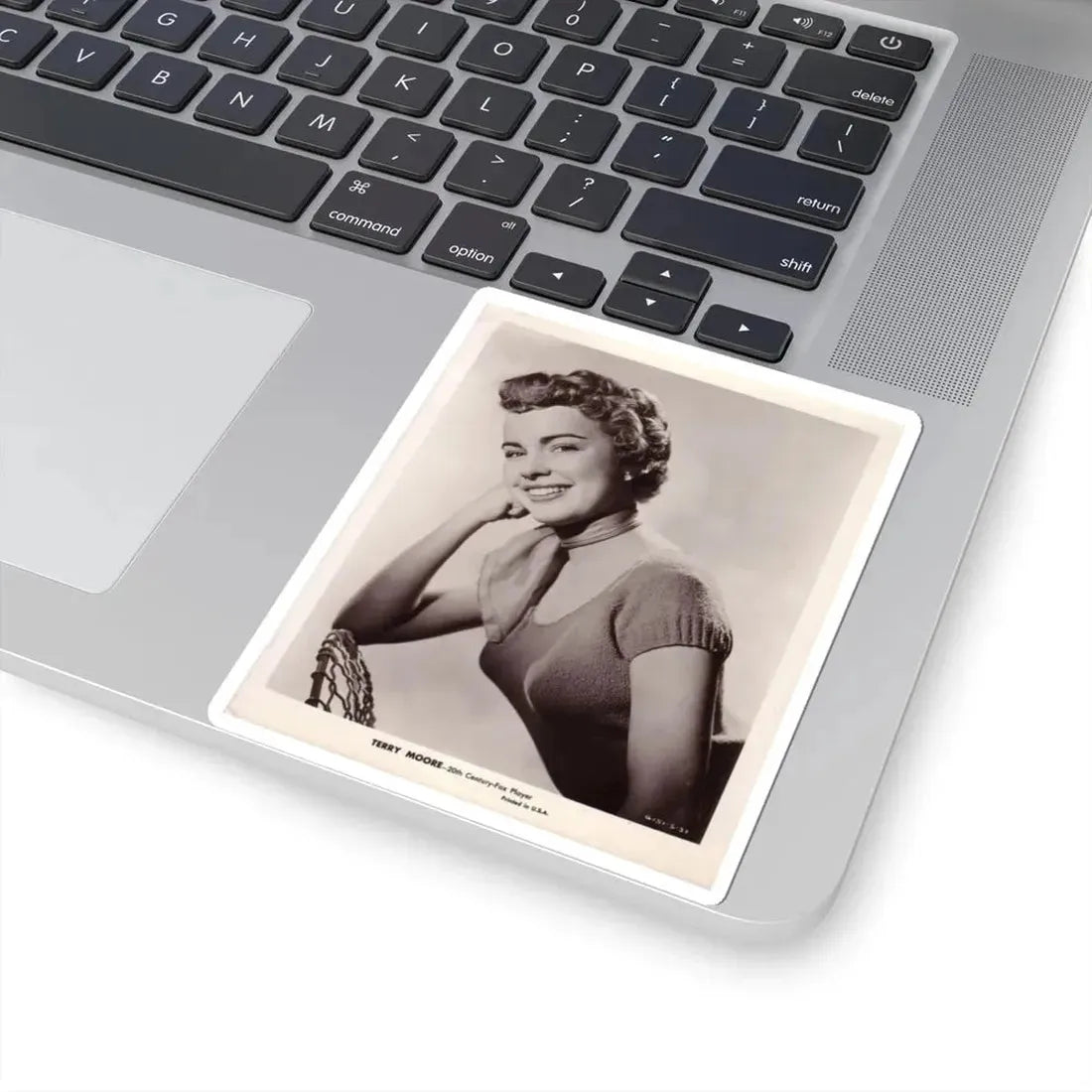 Terry Moore #189 (Vintage Female Icon) STICKER Vinyl Kiss-Cut Decal - The Sticker Space