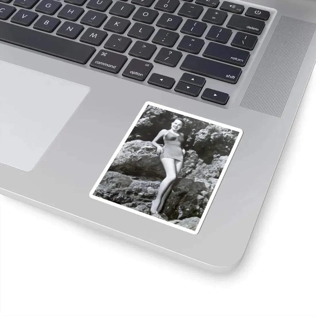 Terry Moore #199 (Vintage Female Icon) STICKER Vinyl Kiss-Cut Decal - The Sticker Space