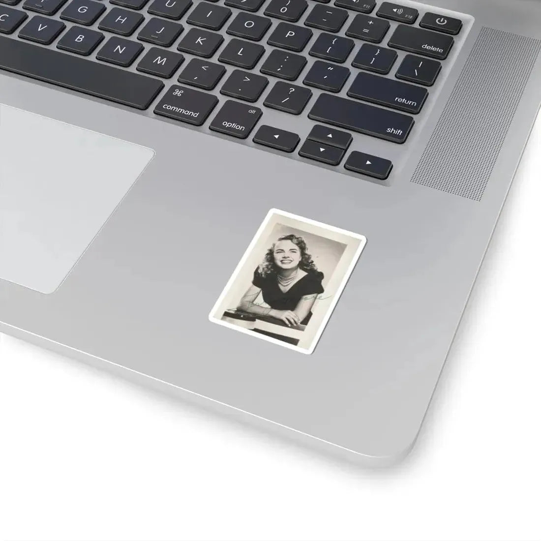 Terry Moore #204 (Vintage Female Icon) STICKER Vinyl Kiss-Cut Decal - The Sticker Space