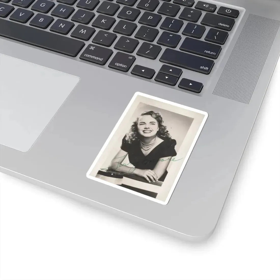 Terry Moore #204 (Vintage Female Icon) STICKER Vinyl Kiss-Cut Decal - The Sticker Space