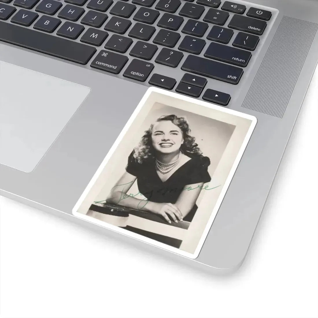 Terry Moore #204 (Vintage Female Icon) STICKER Vinyl Kiss-Cut Decal - The Sticker Space