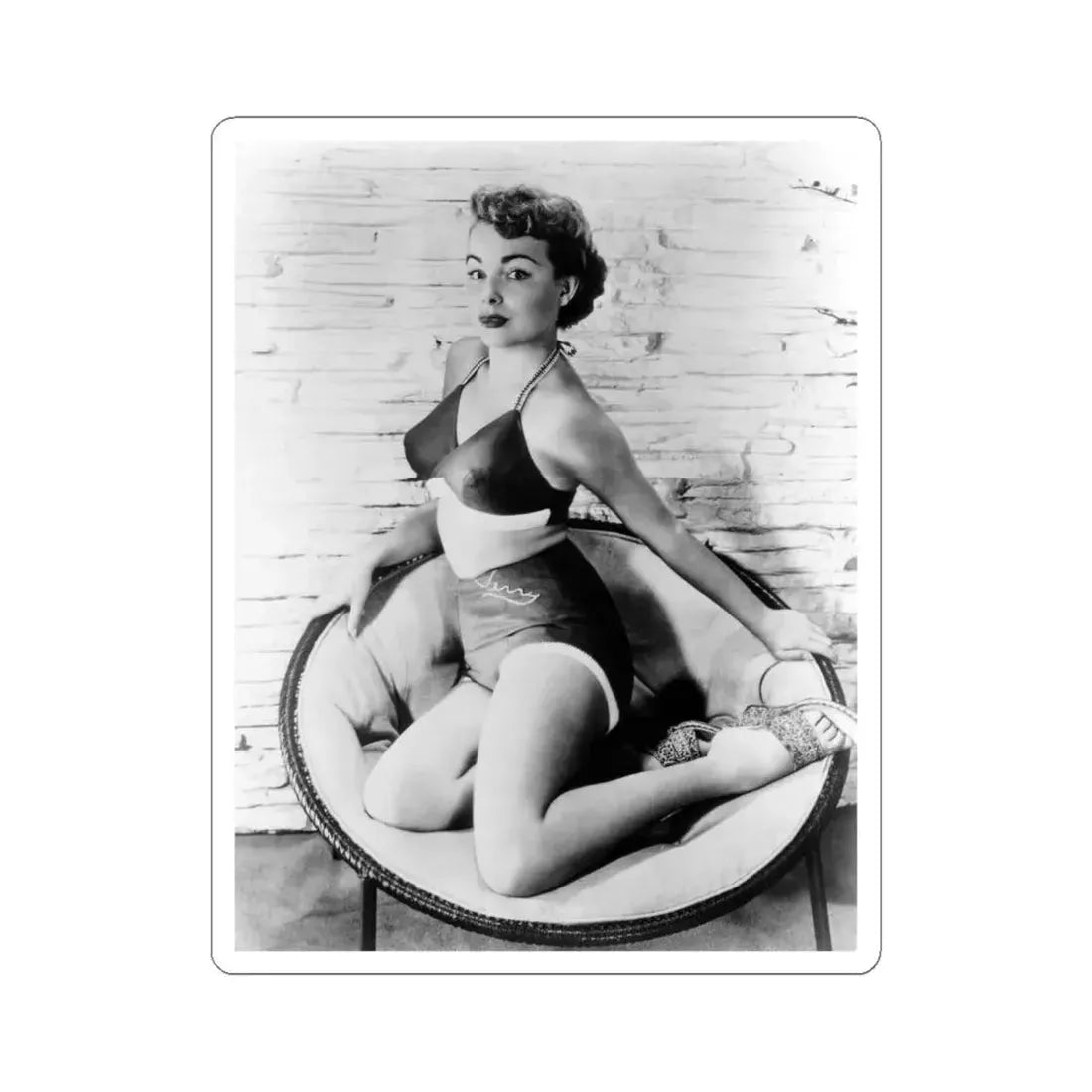 Terry Moore #212 (Vintage Female Icon) STICKER Vinyl Kiss-Cut Decal 6 Inch White - The Sticker Space