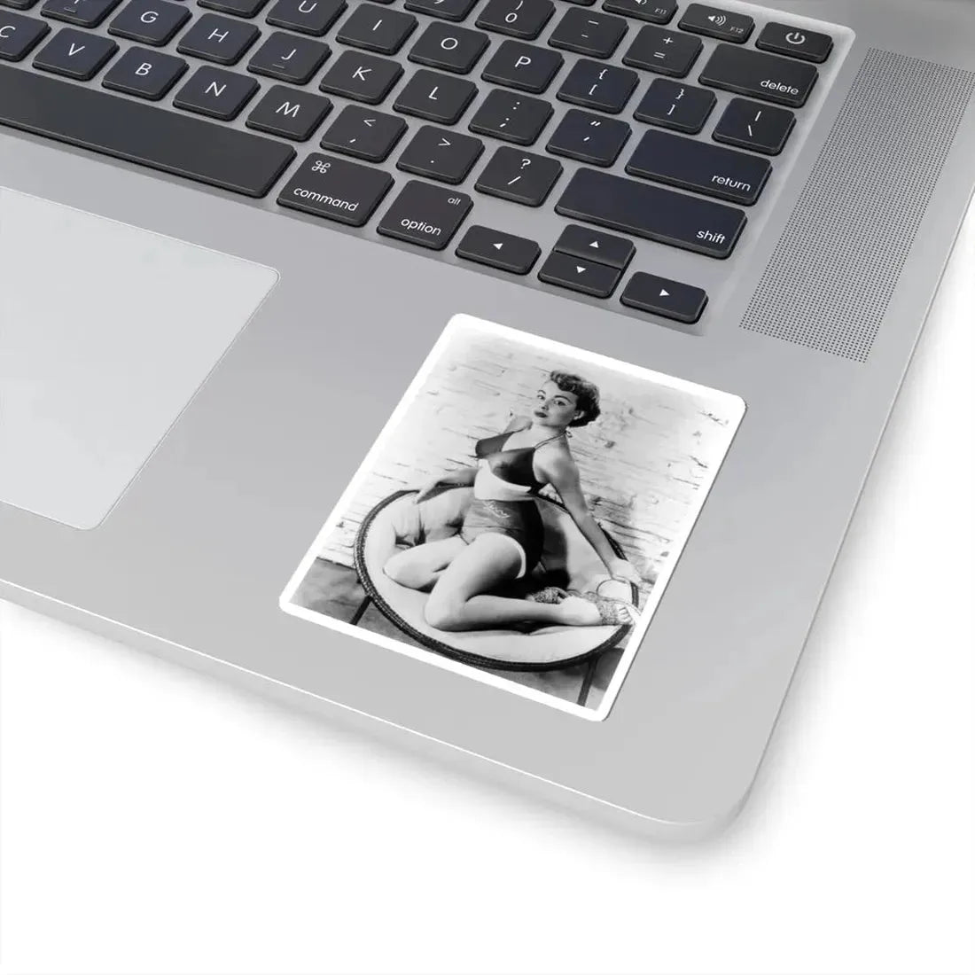 Terry Moore #212 (Vintage Female Icon) STICKER Vinyl Kiss-Cut Decal - The Sticker Space