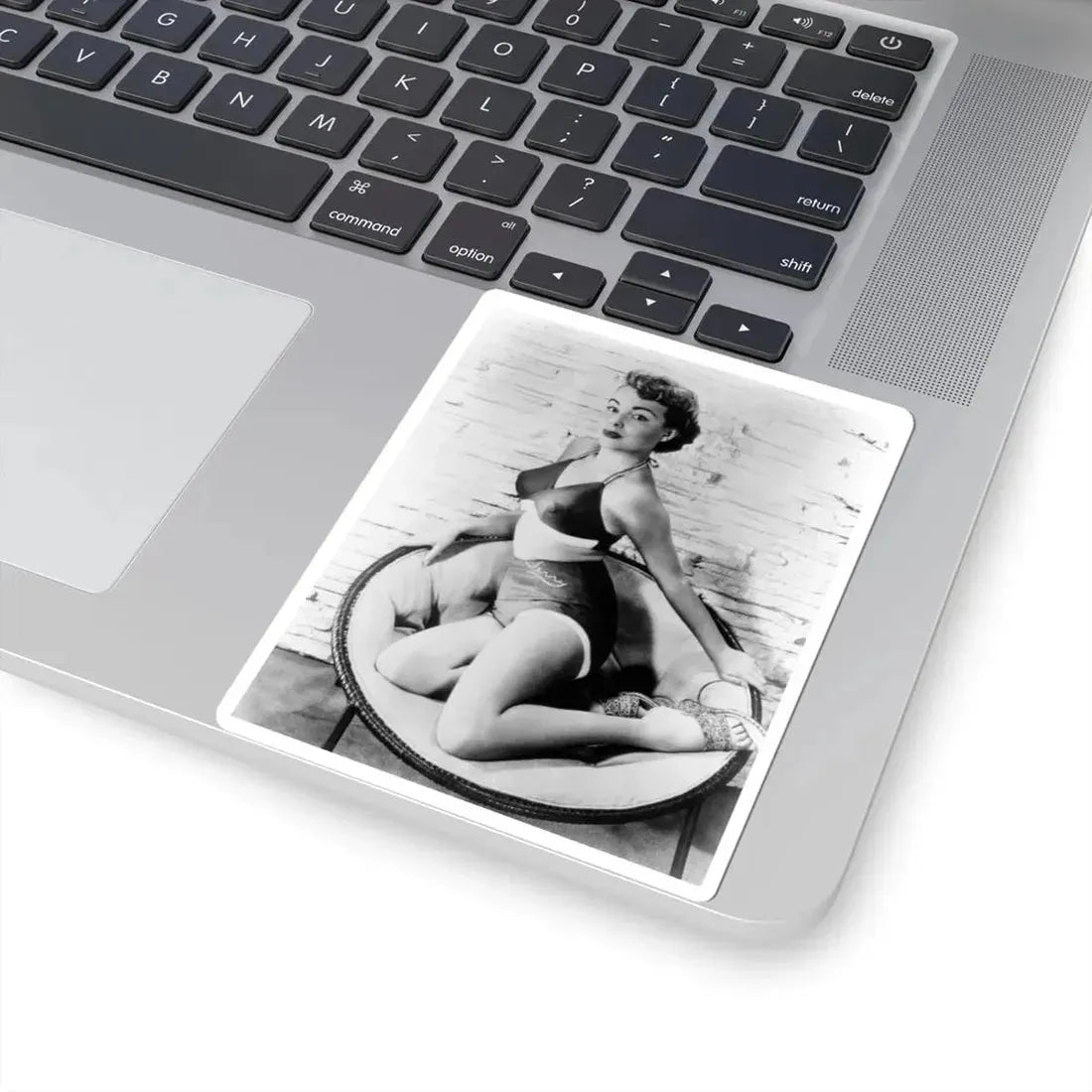 Terry Moore #212 (Vintage Female Icon) STICKER Vinyl Kiss-Cut Decal - The Sticker Space