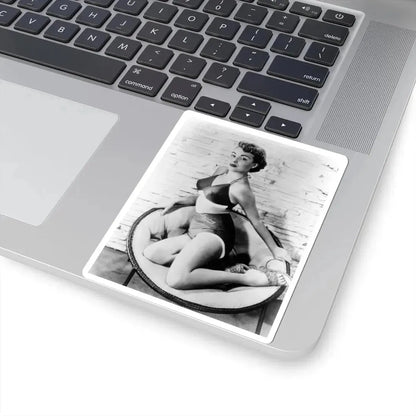 Terry Moore #212 (Vintage Female Icon) STICKER Vinyl Kiss-Cut Decal - The Sticker Space