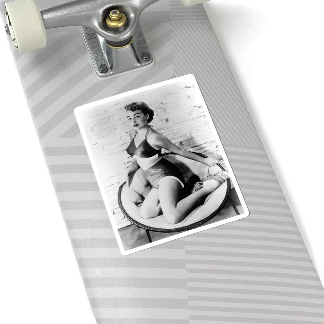 Terry Moore #212 (Vintage Female Icon) STICKER Vinyl Kiss-Cut Decal - The Sticker Space