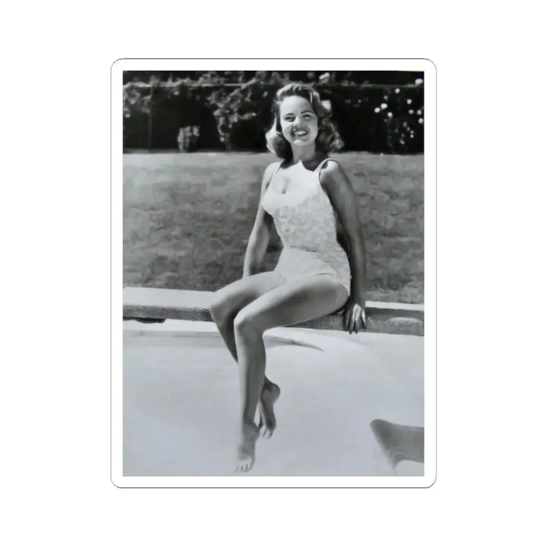 Terry Moore #216 (Vintage Female Icon) STICKER Vinyl Kiss-Cut Decal 2 Inch White - The Sticker Space