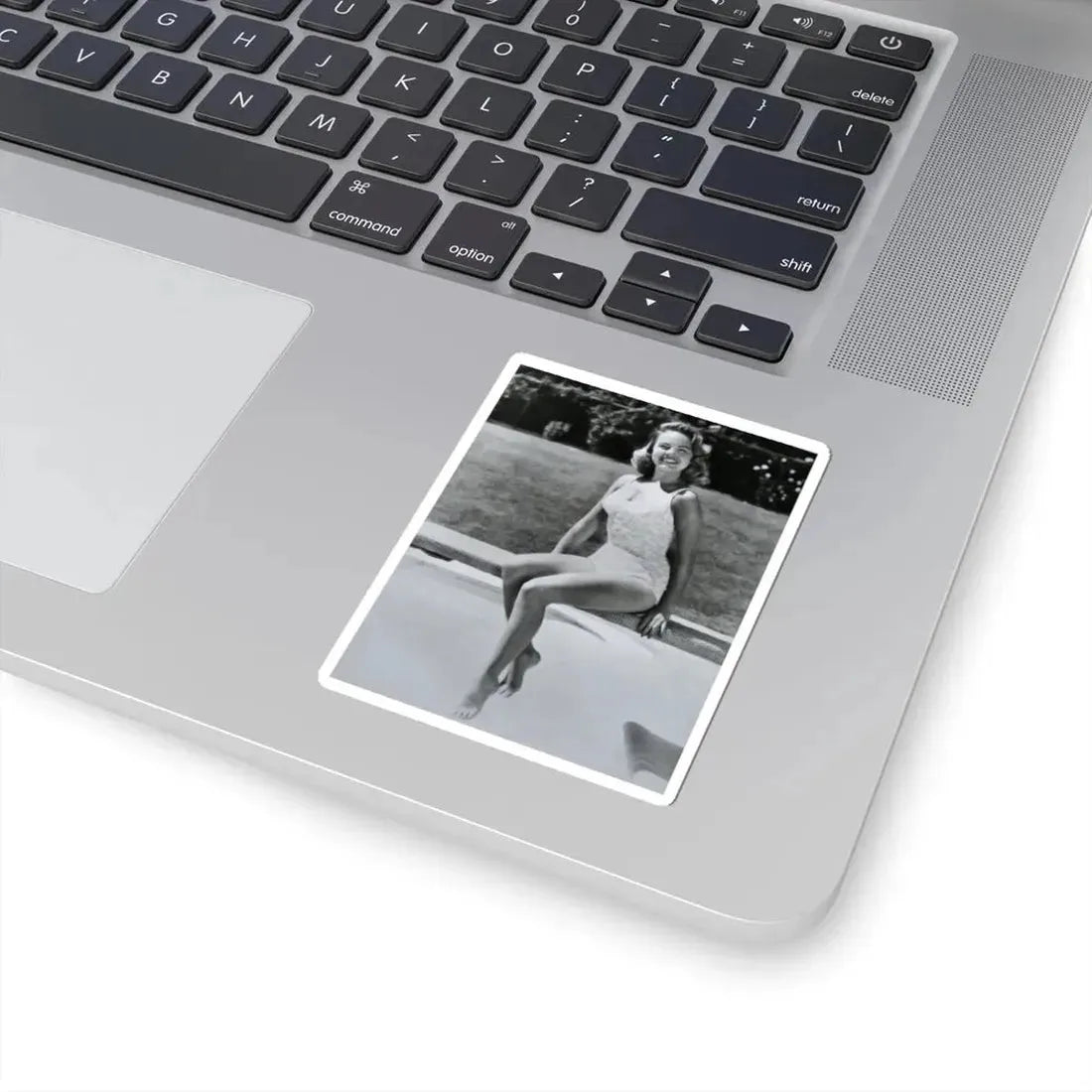 Terry Moore #216 (Vintage Female Icon) STICKER Vinyl Kiss-Cut Decal - The Sticker Space