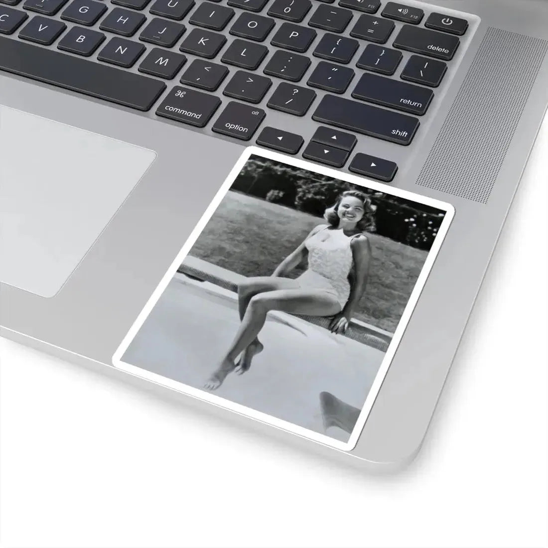 Terry Moore #216 (Vintage Female Icon) STICKER Vinyl Kiss-Cut Decal - The Sticker Space