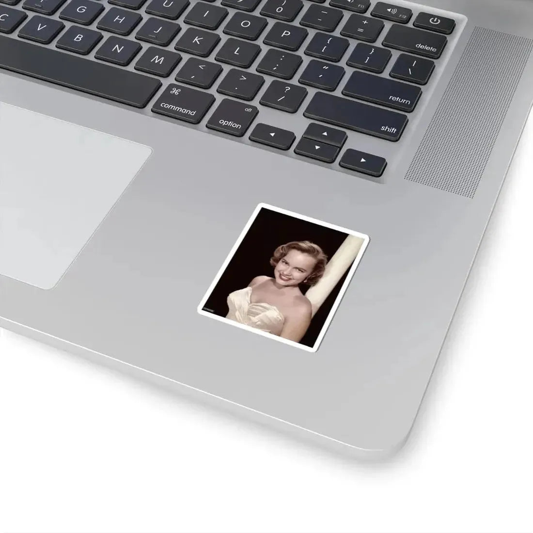 Terry Moore #220 (Vintage Female Icon) STICKER Vinyl Kiss-Cut Decal - The Sticker Space