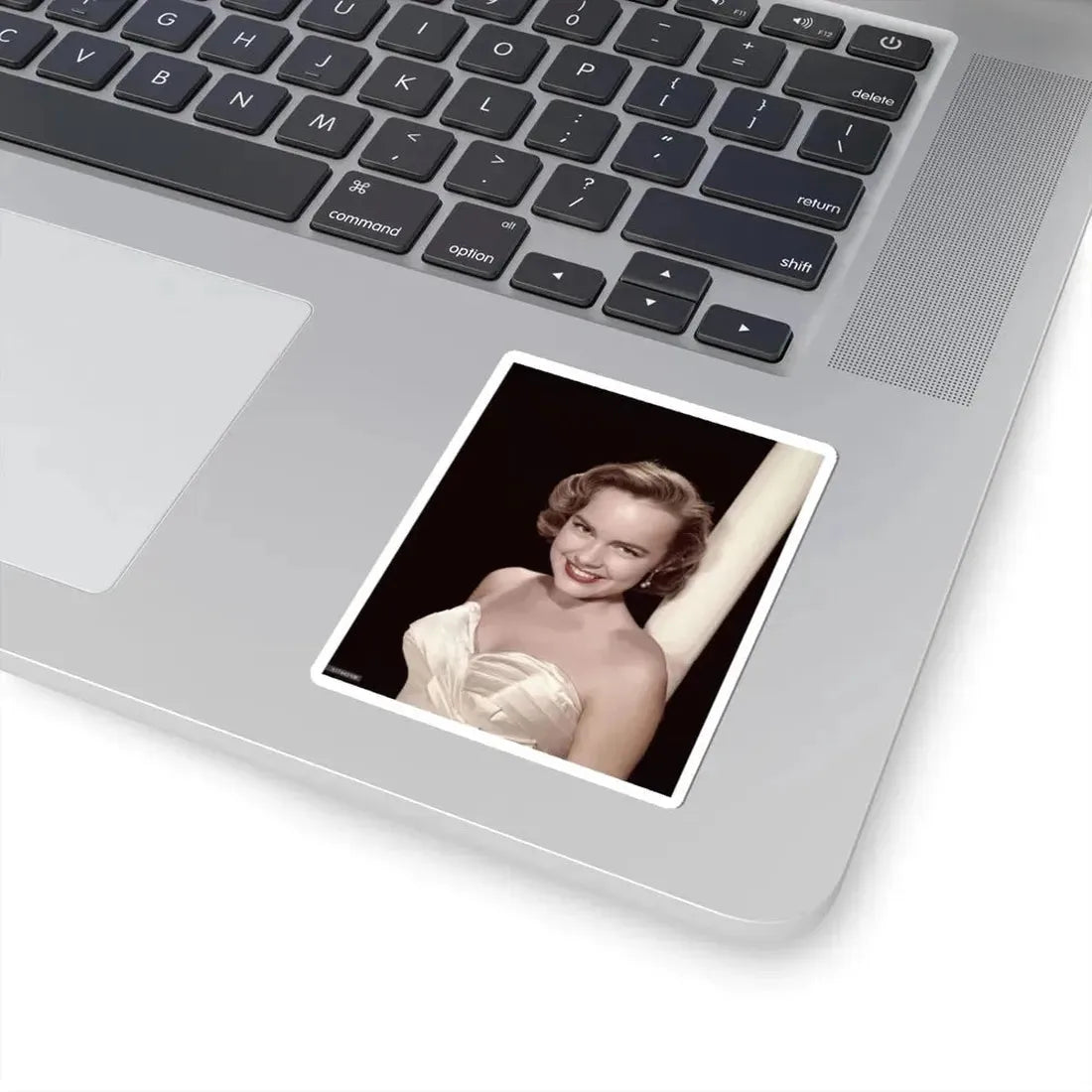 Terry Moore #220 (Vintage Female Icon) STICKER Vinyl Kiss-Cut Decal - The Sticker Space