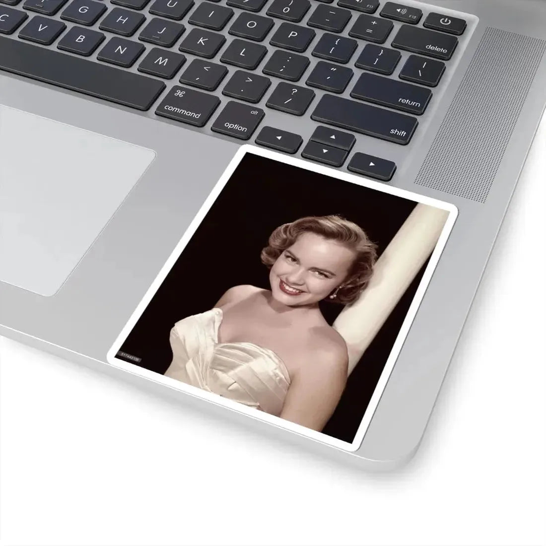 Terry Moore #220 (Vintage Female Icon) STICKER Vinyl Kiss-Cut Decal - The Sticker Space