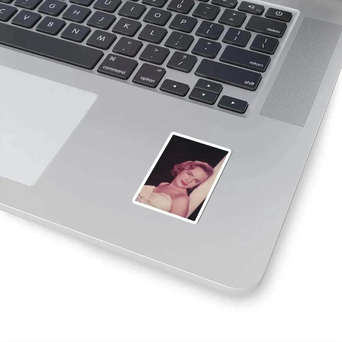 Terry Moore #223 (Vintage Female Icon) STICKER Vinyl Kiss-Cut Decal - The Sticker Space