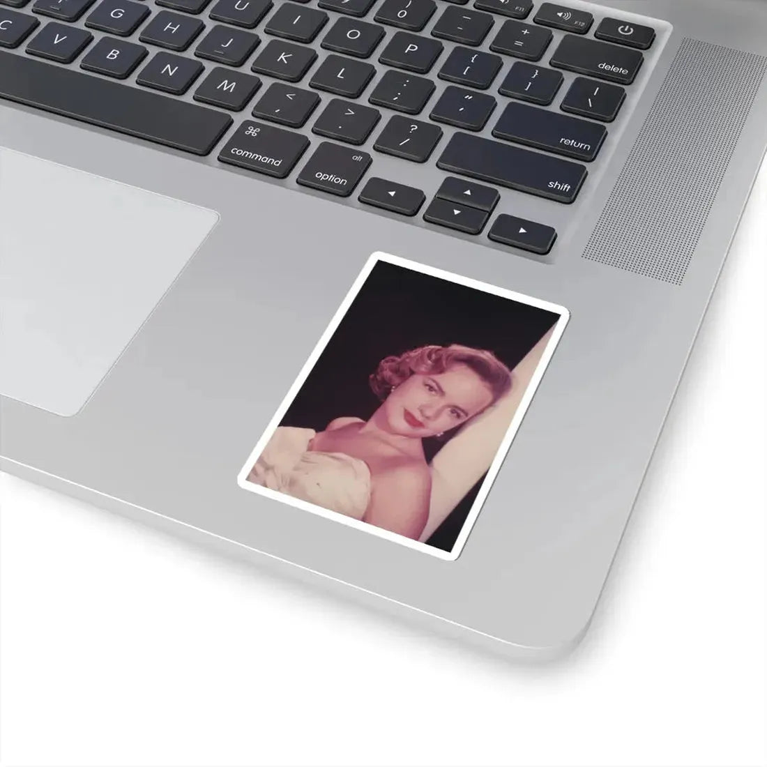 Terry Moore #223 (Vintage Female Icon) STICKER Vinyl Kiss-Cut Decal - The Sticker Space