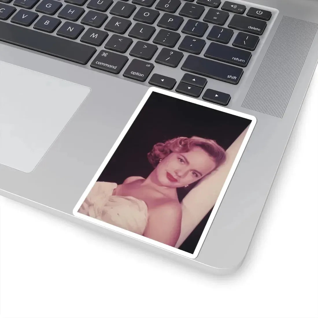 Terry Moore #223 (Vintage Female Icon) STICKER Vinyl Kiss-Cut Decal - The Sticker Space