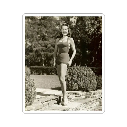 Terry Moore #233 (Vintage Female Icon) STICKER Vinyl Kiss-Cut Decal 3 Inch White - The Sticker Space