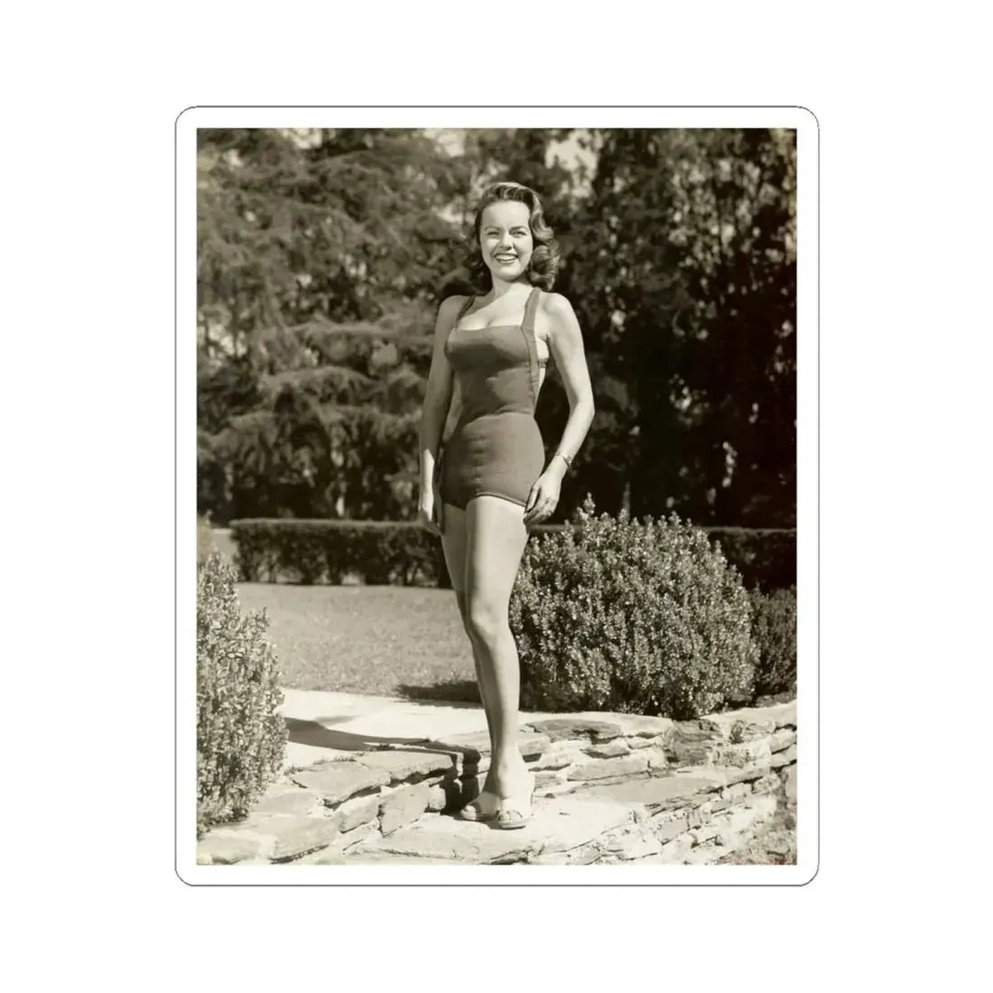 Terry Moore #233 (Vintage Female Icon) STICKER Vinyl Kiss-Cut Decal 6 Inch White - The Sticker Space