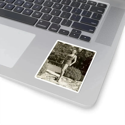 Terry Moore #233 (Vintage Female Icon) STICKER Vinyl Kiss-Cut Decal - The Sticker Space