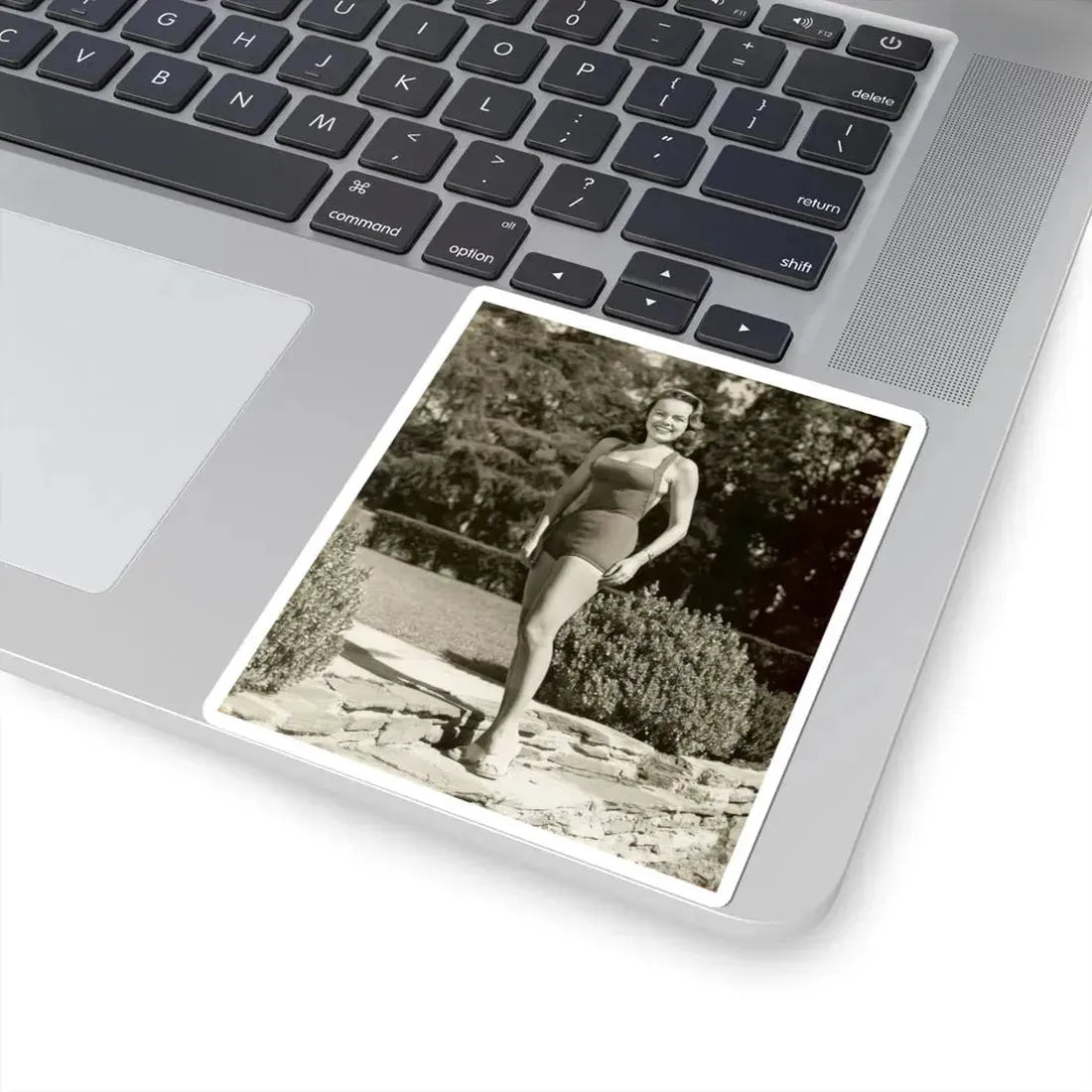 Terry Moore #233 (Vintage Female Icon) STICKER Vinyl Kiss-Cut Decal - The Sticker Space