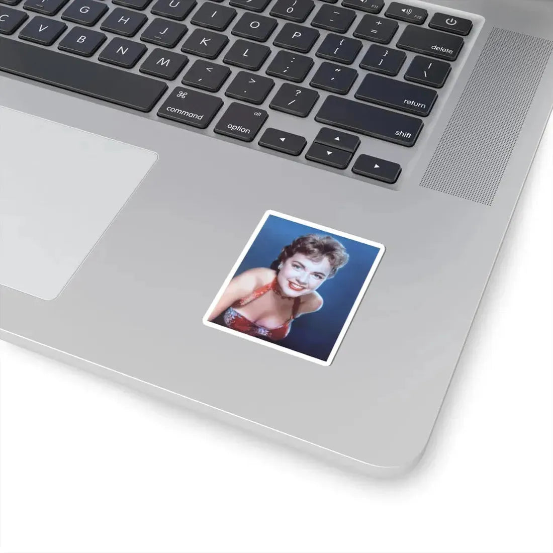Terry Moore #239 (Vintage Female Icon) STICKER Vinyl Kiss-Cut Decal - The Sticker Space