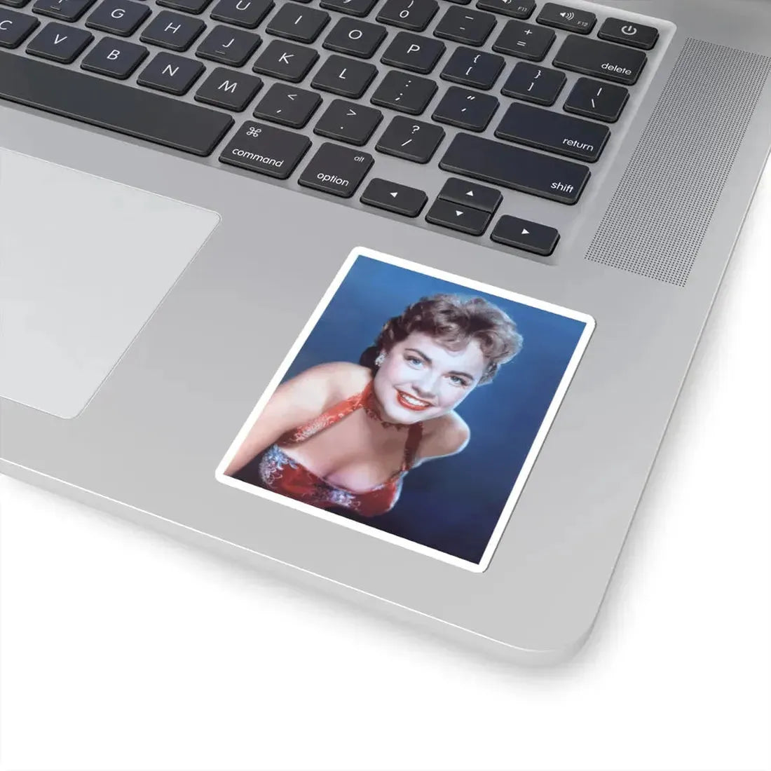 Terry Moore #239 (Vintage Female Icon) STICKER Vinyl Kiss-Cut Decal - The Sticker Space