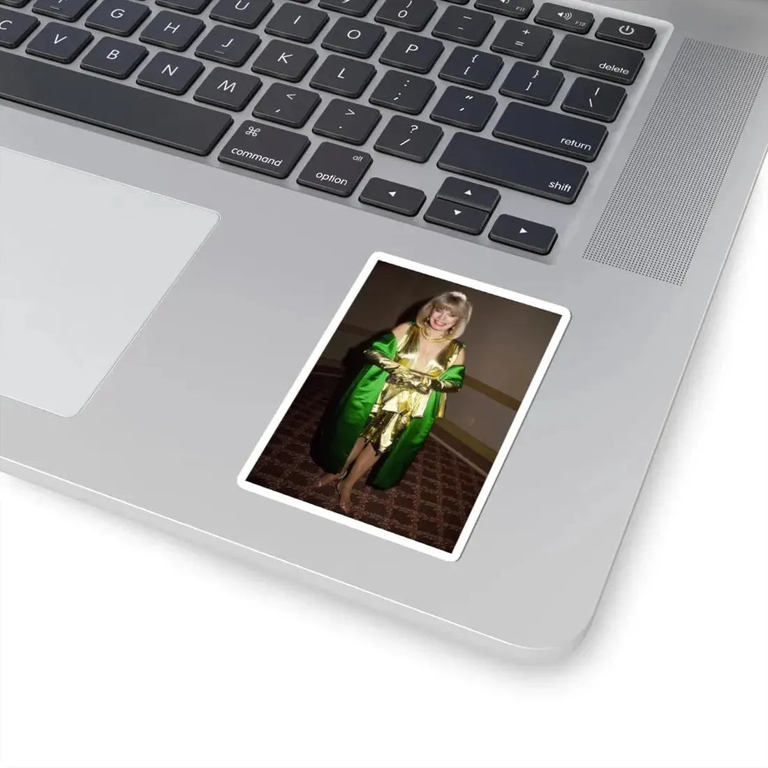 Terry Moore #246 (Vintage Female Icon) STICKER Vinyl Kiss-Cut Decal - The Sticker Space