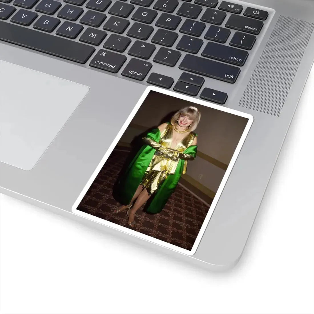 Terry Moore #246 (Vintage Female Icon) STICKER Vinyl Kiss-Cut Decal - The Sticker Space