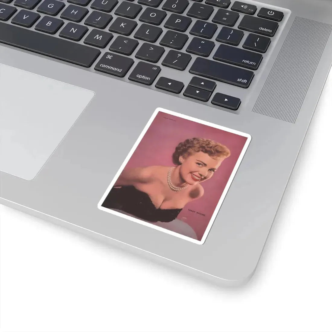 Terry Moore #250 (Vintage Female Icon) STICKER Vinyl Kiss-Cut Decal - The Sticker Space