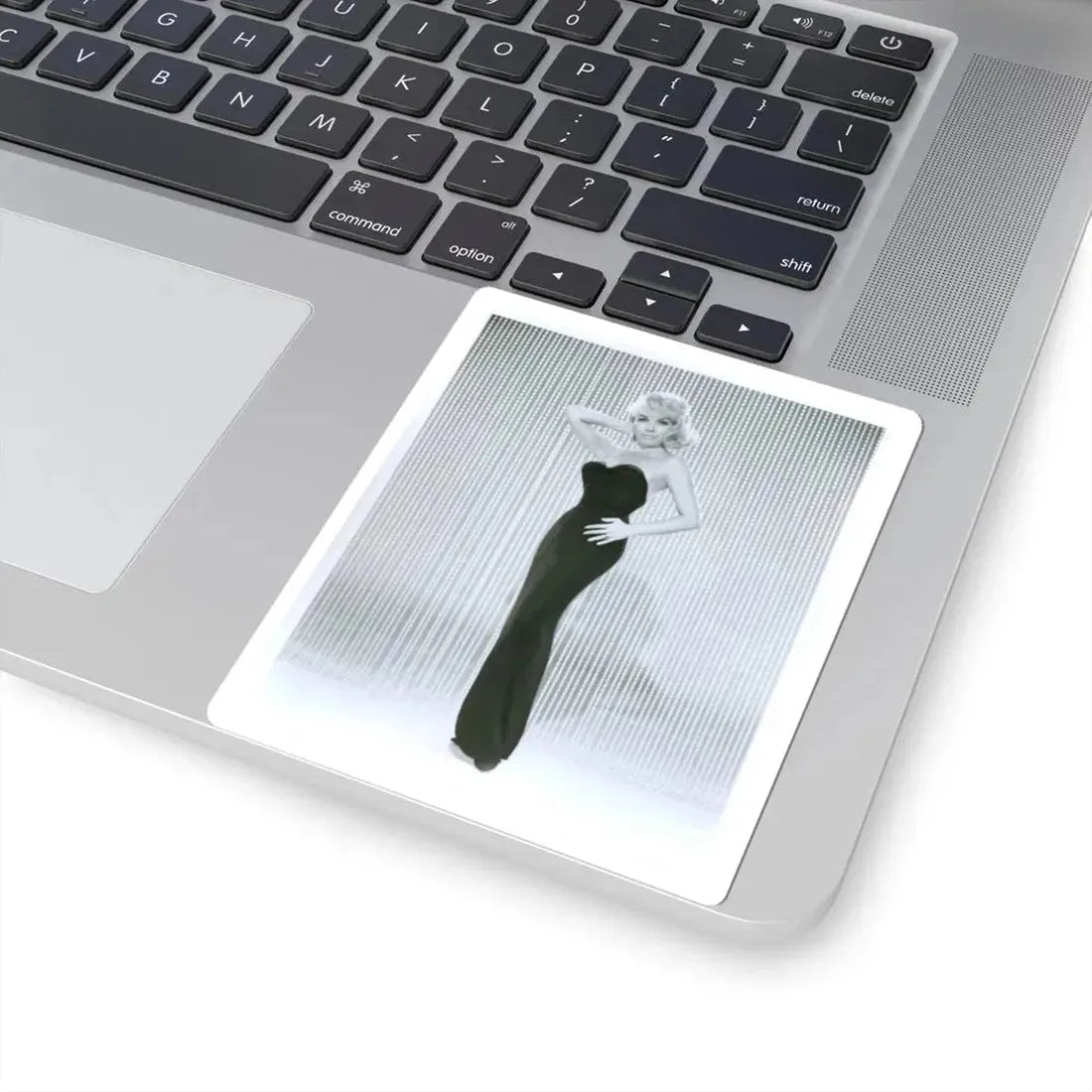 Terry Moore #262 (Vintage Female Icon) STICKER Vinyl Kiss-Cut Decal - The Sticker Space