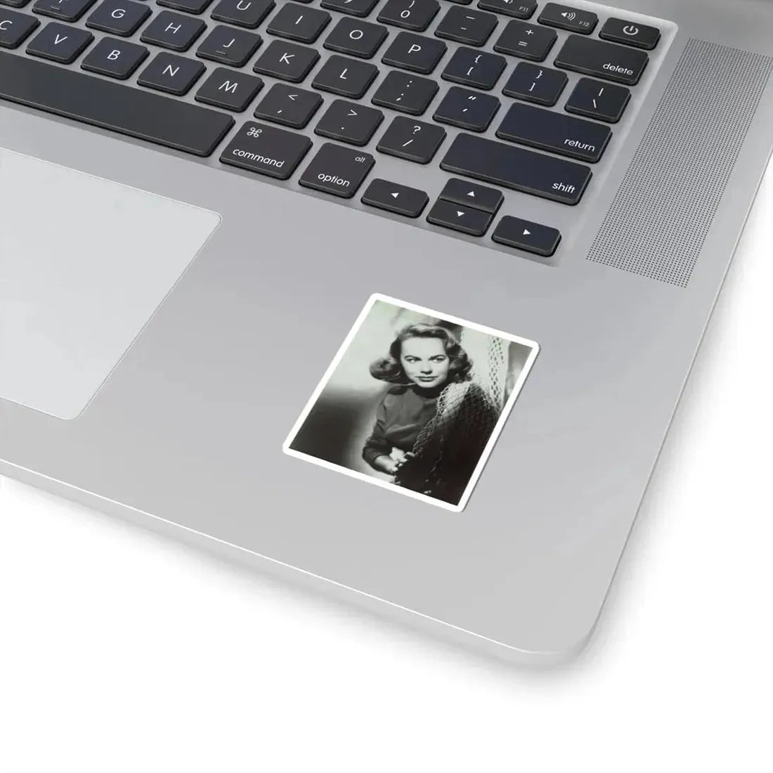 Terry Moore #266 (Vintage Female Icon) STICKER Vinyl Kiss-Cut Decal - The Sticker Space