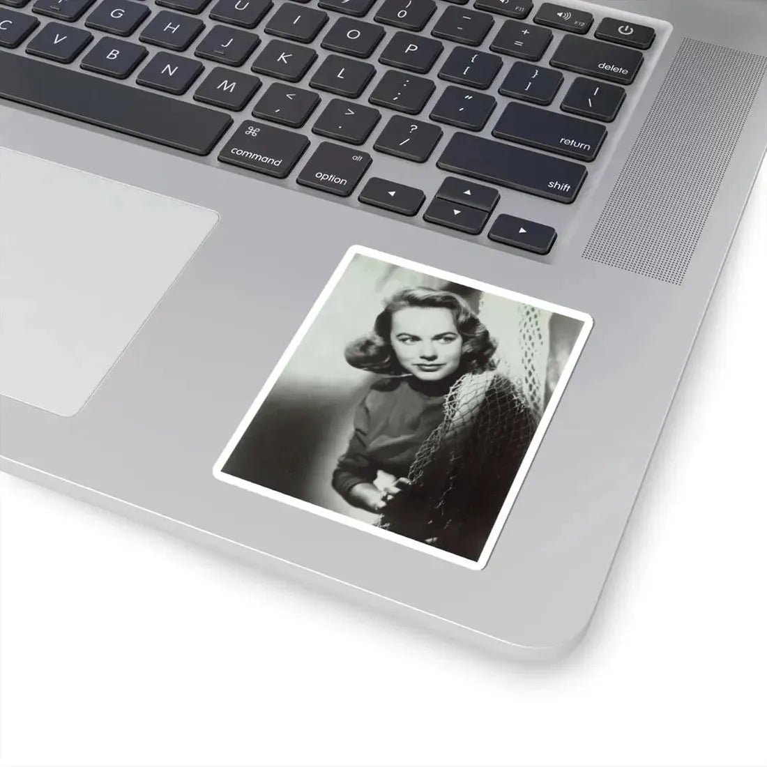 Terry Moore #266 (Vintage Female Icon) STICKER Vinyl Kiss-Cut Decal - The Sticker Space