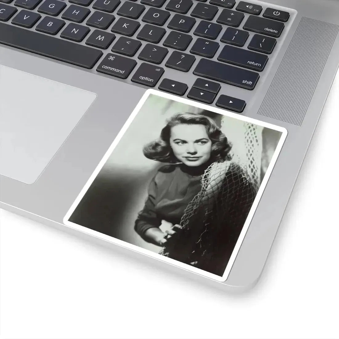 Terry Moore #266 (Vintage Female Icon) STICKER Vinyl Kiss-Cut Decal - The Sticker Space