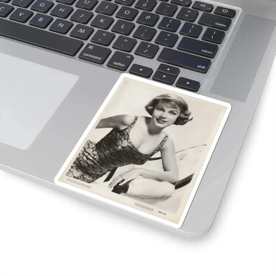 Terry Moore #271 (Vintage Female Icon) STICKER Vinyl Kiss-Cut Decal - The Sticker Space
